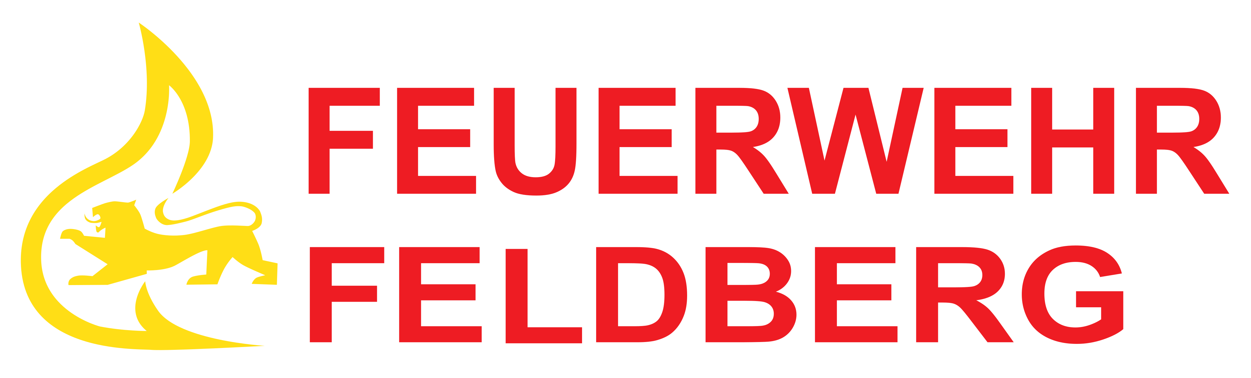 Logo FFW Feldberg
